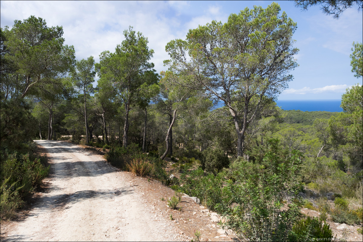 agnes de corona naar sant antoni de portmany